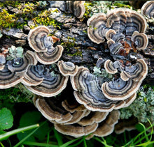 Load image into Gallery viewer, Women’s Small Geode Boho Maxi Dress in ‘Turkey Tail Mushroom Variation #2’