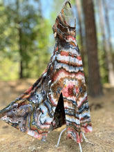 Load image into Gallery viewer, Custom Turkey Tail Mushroom Geode Ballet Dress for Meredith