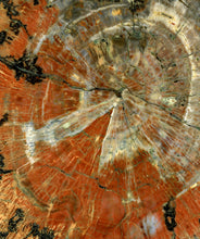 Load image into Gallery viewer, Women’s Medium Pact Organic Cotton Geode Fit & Flare Open Criss-Cross Back Maxi Dress with Pockets in ‘Petrified Wood’