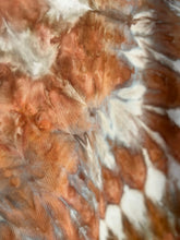 Load image into Gallery viewer, Custom Men’s T-Shirt in ‘Golden Brown Blue Gray’ for Tom Price