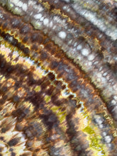 Load image into Gallery viewer, 100% Cotton Dish Towel in ‘Bracken’
