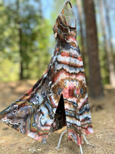 Load image into Gallery viewer, Custom Turkey Tail Mushroom Geode Ballet Dress for Meredith
