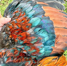 Load image into Gallery viewer, Women’s Large Geode Bodycon Dress in ‘Rooster’
