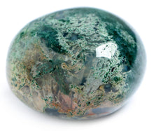 Load image into Gallery viewer, Women’s XXL  Geode Front Twist Short Sleeve Top in ‘Moss Agate’
